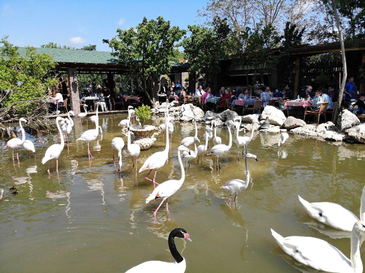 "Flamingolu Köy" Anneler Günü\'nde Ziyaretçi Akınına Uğradı