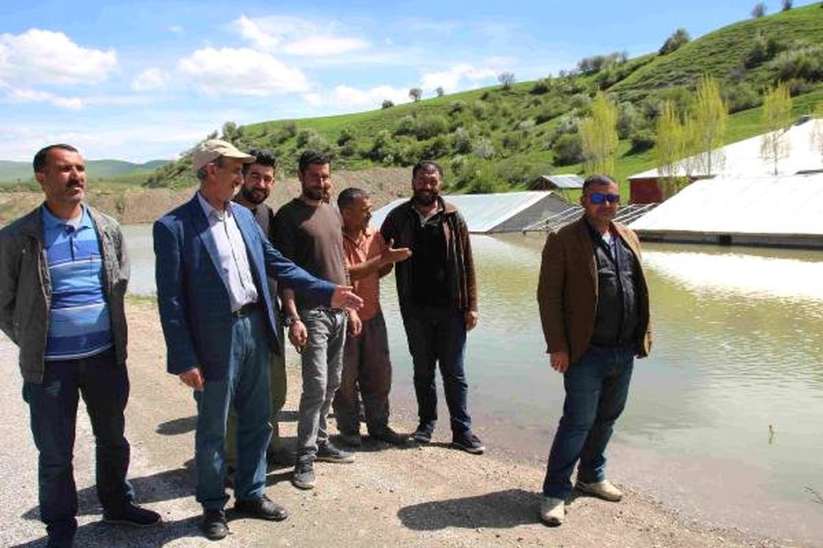 İki Baraj Arasında Kalan Köydeki Evler, Sular Altında