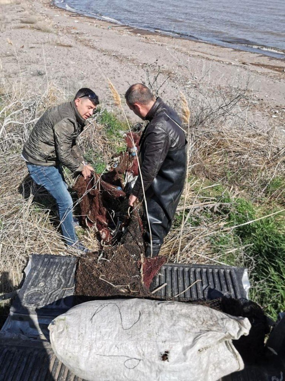 İnci Kefali Balığını Koruma Çalışması