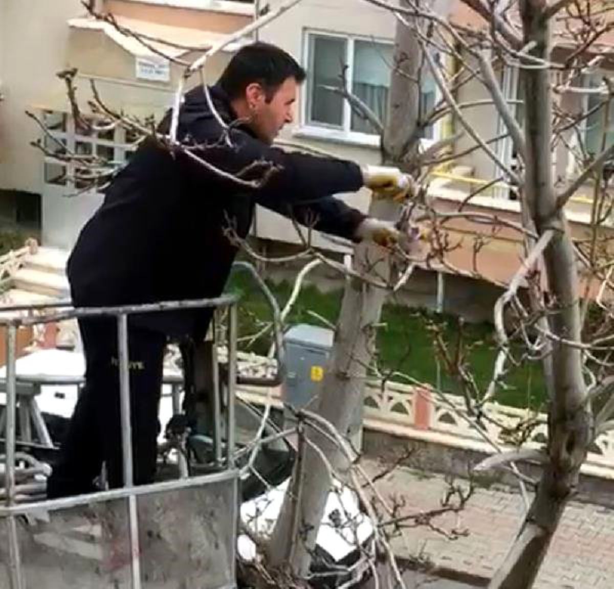 Kargaların Yaraladığı Güvercini, İtfaiye Kurtardı