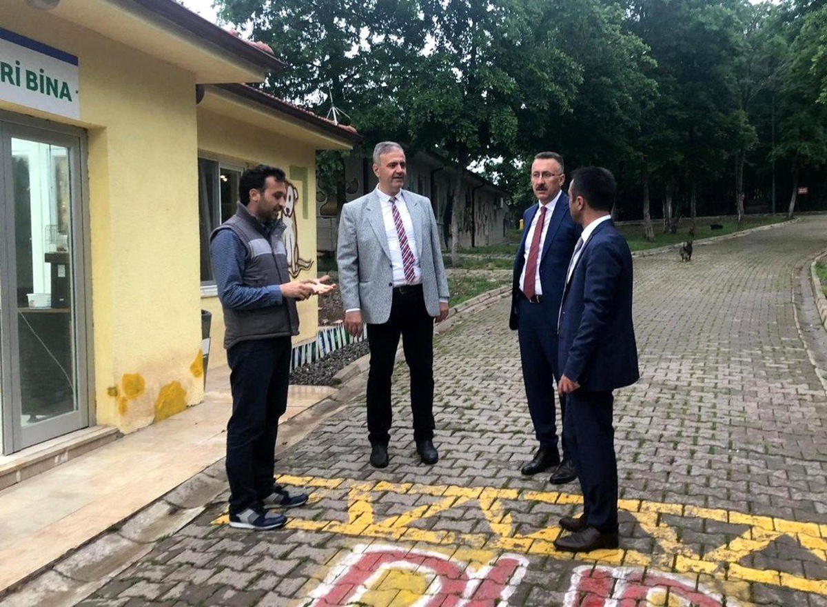 Sahipsiz Hayvanlar Rehabilitasyon Projesine Start Verildi