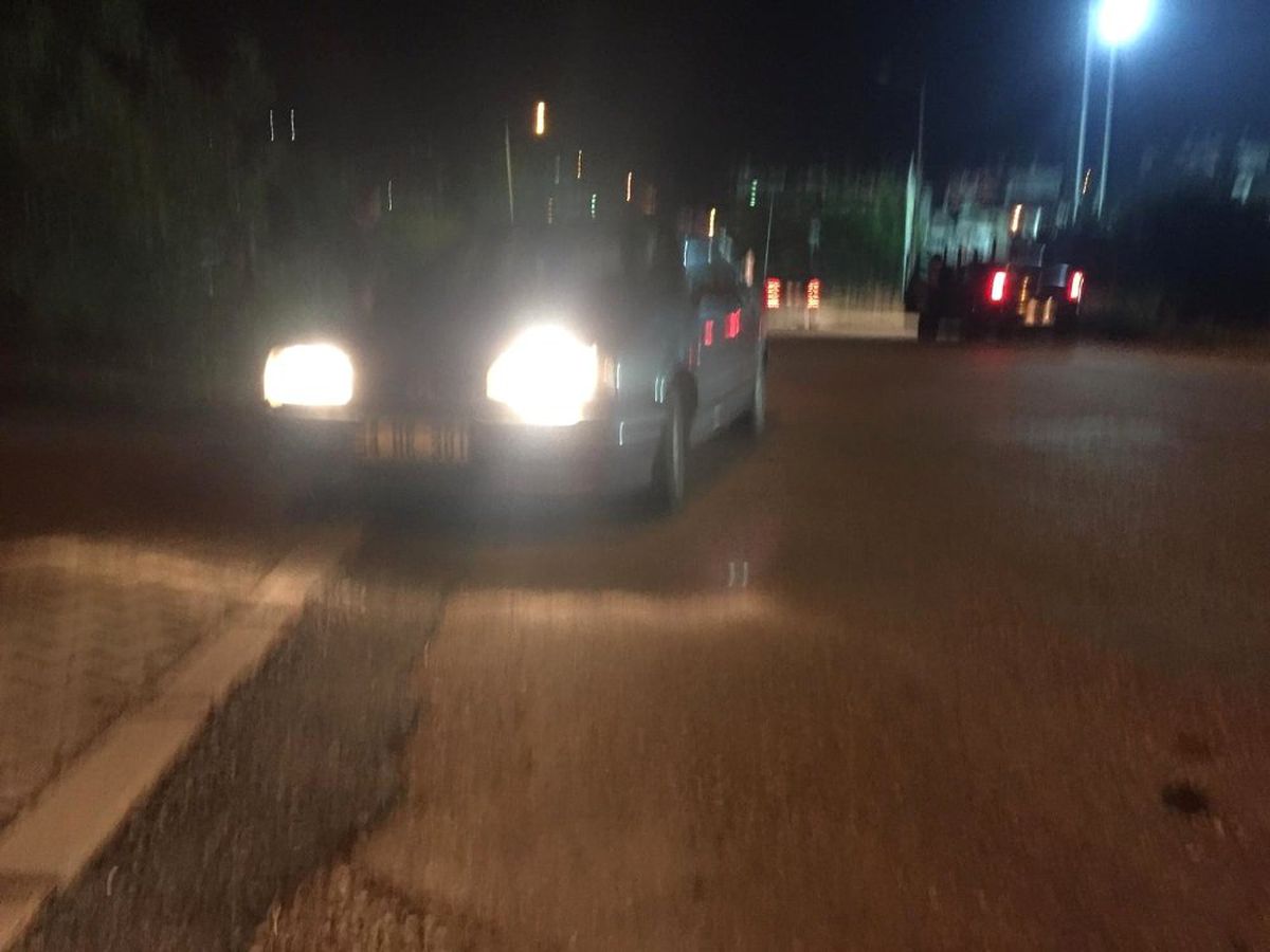 Sakarya\'da Otomobil Domuz Sürüsüne Daldı