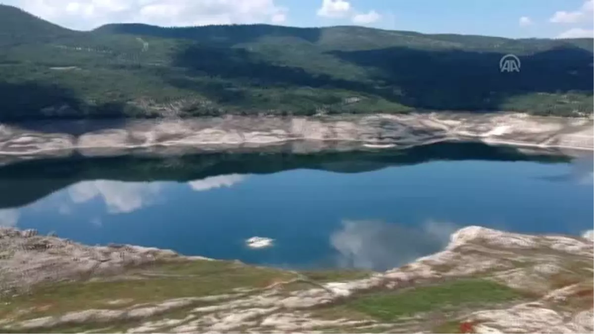 Saklı Cennet"Te Kuş Sayısında Rekor Artış