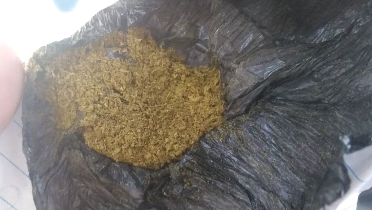 Şüpheli Şahsın Üzerinden Bonzai Çıktı