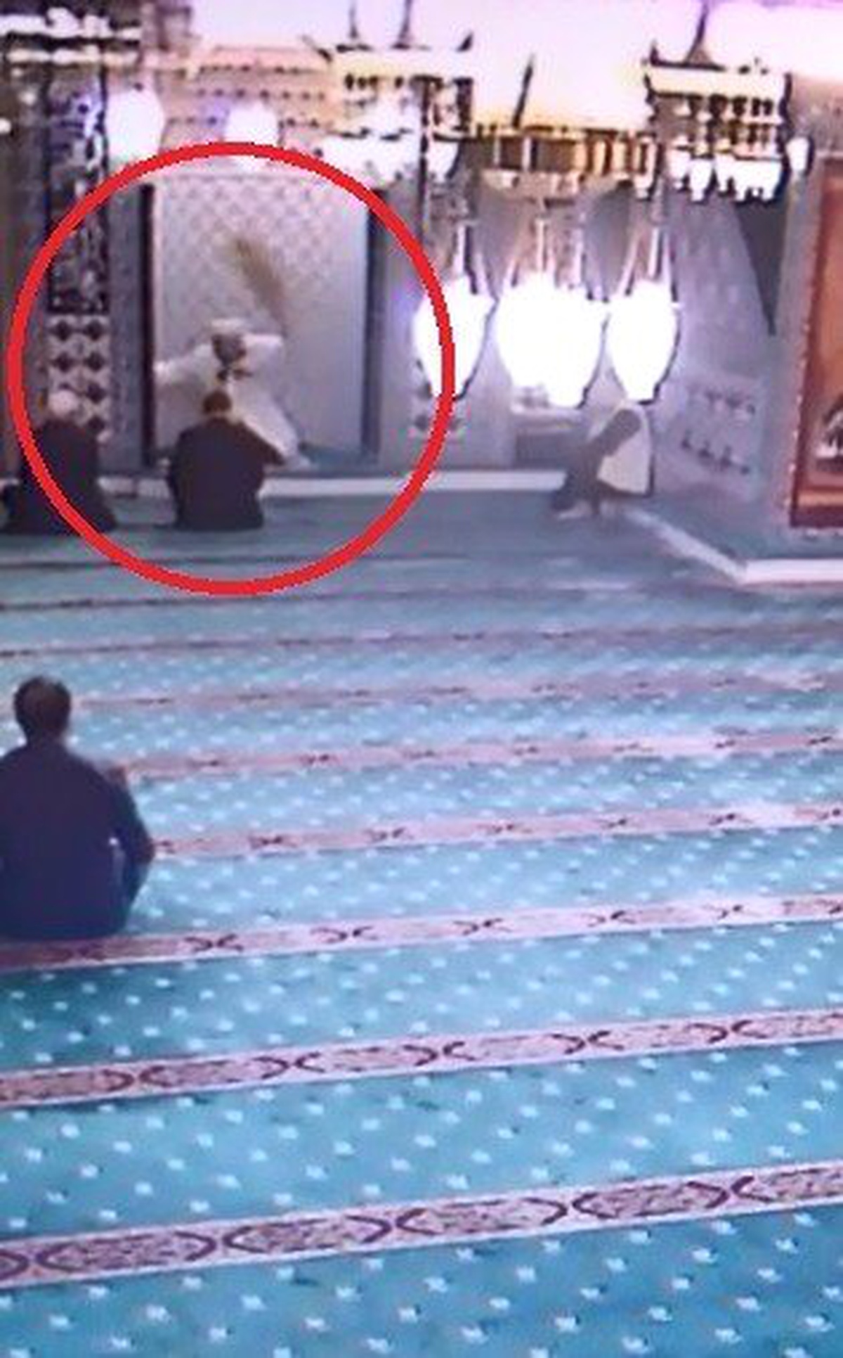 Teravih Namazında Camiye Giren Kedi Cemaati Seferber Etti