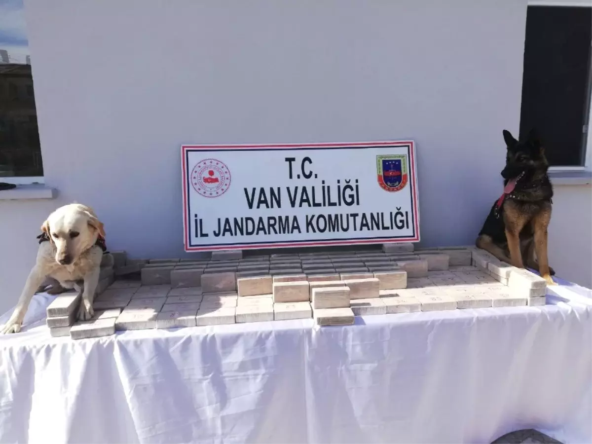 Uyuşturucu Kaçakçılarının Yeni Yöntemi Hassas Burunlara Takıldı