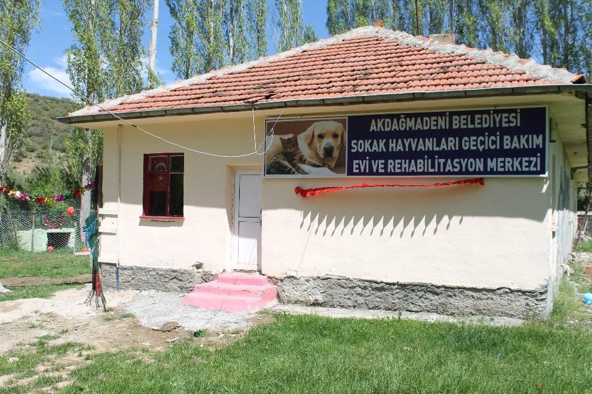 Akdağmadeni\'nde Sokak Hayvanlarına Bakım Evi Açıldı