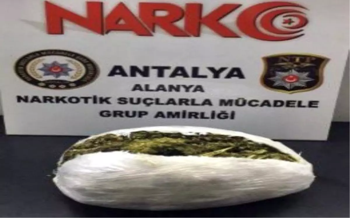 Alanya\'da 1.5 Kilogram Esrar Ele Geçirildi