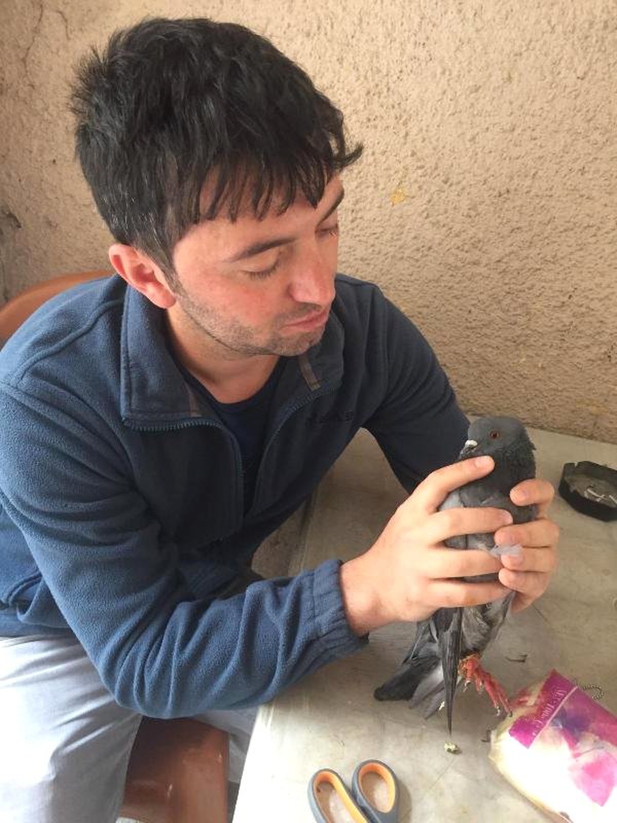 Çatıdaki Tellere Takılan Güvercin Kurtarıldı