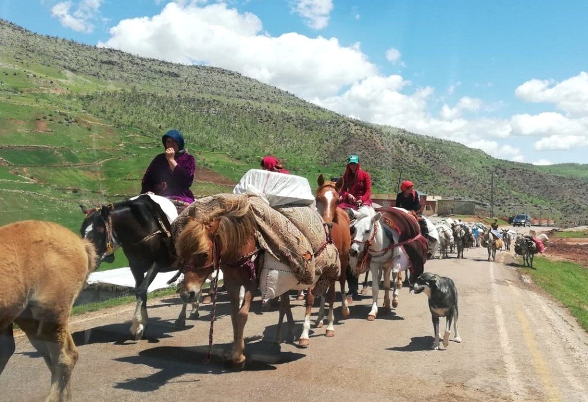 Göçerlerin Zorlu Yayla Yolculuğu Başladı