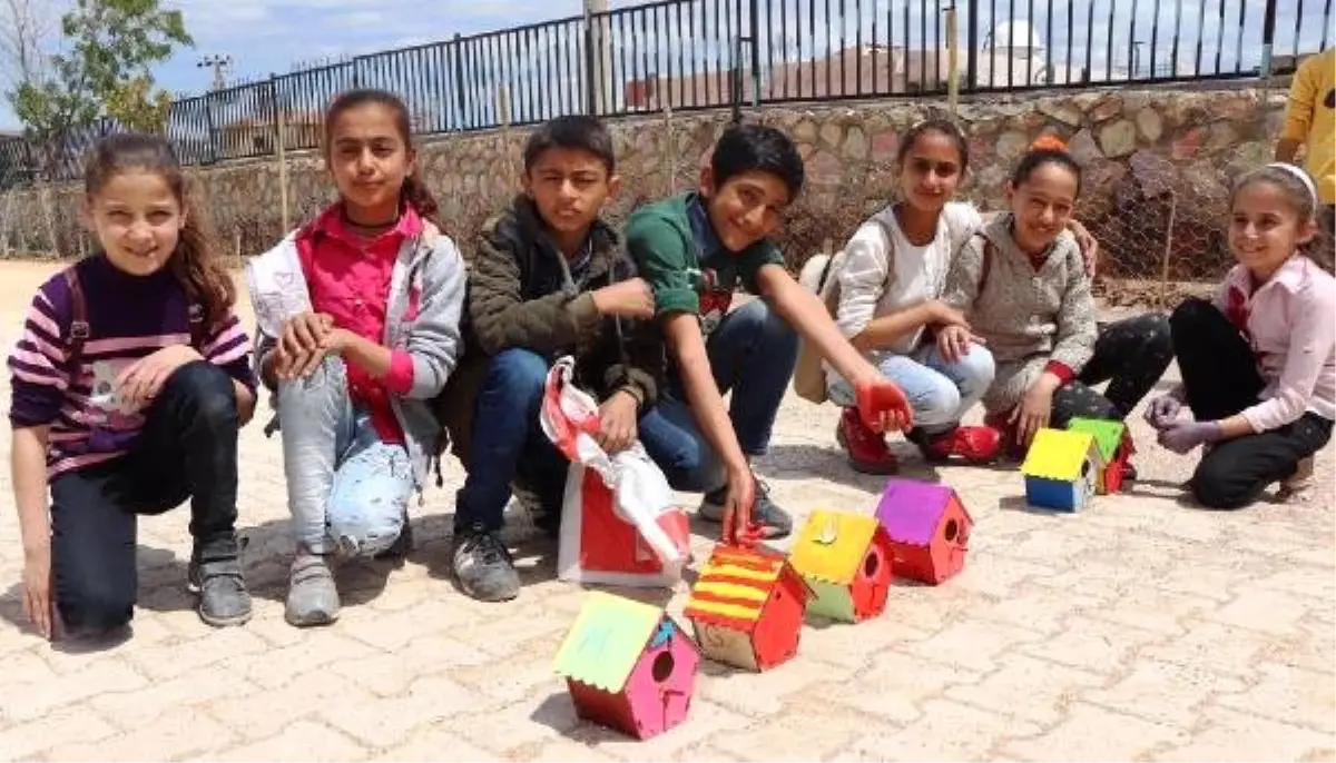 Göçmen Kuşlar İçin \'Kuş Köyü\' İnşa Ettiler