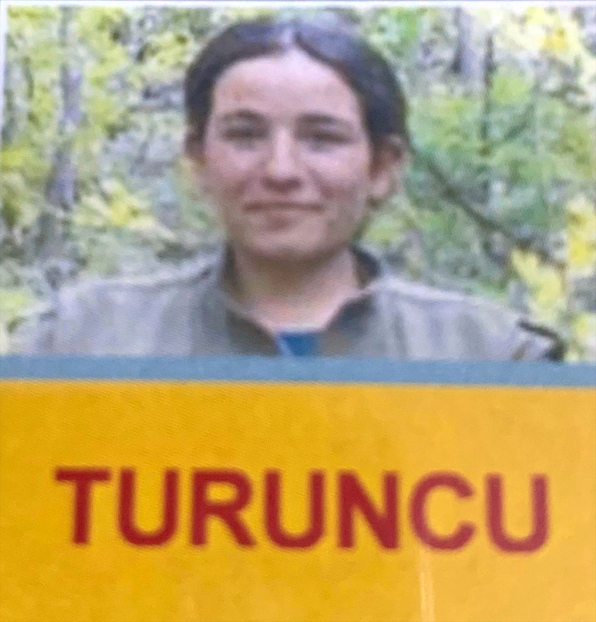 Güncelleme - Tunceli\'deki Terör Operasyonu