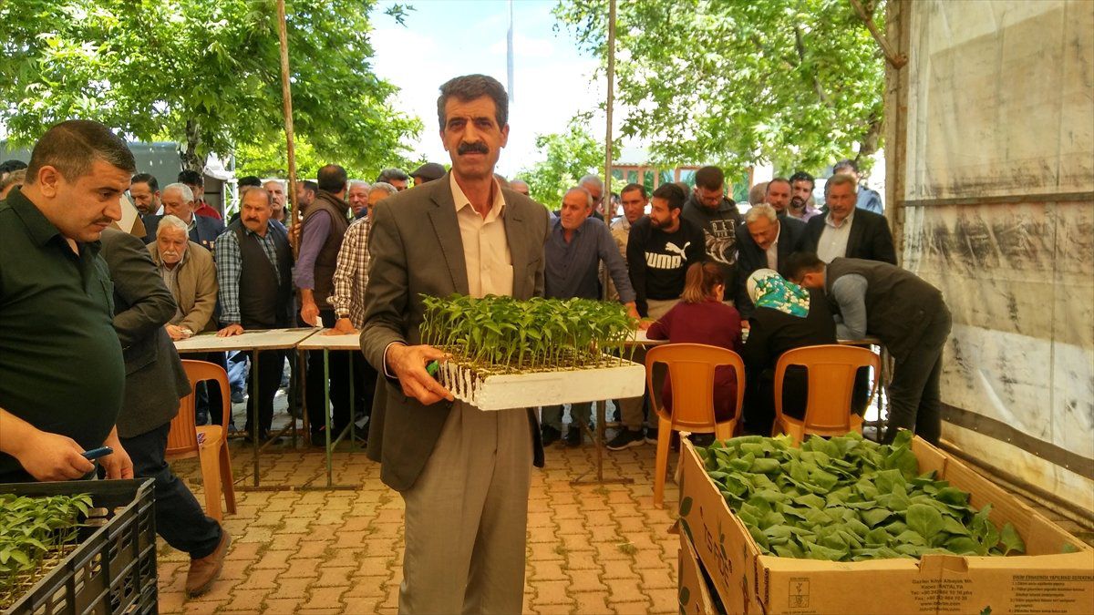 Kale\'de Çiftçilere Sebze Fidesi Dağıtıldı