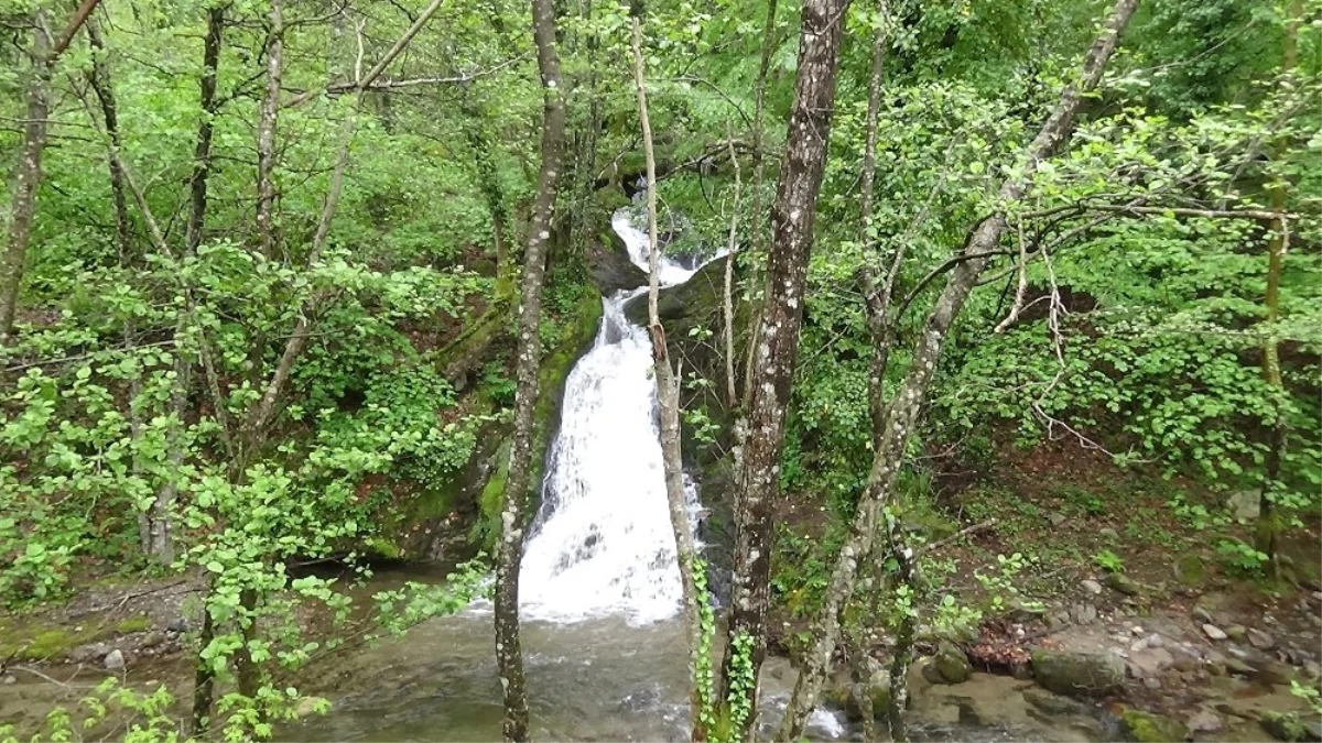 Kazdağları\'na Bahar ile Birlikte Gelen Eşsiz Güzellik