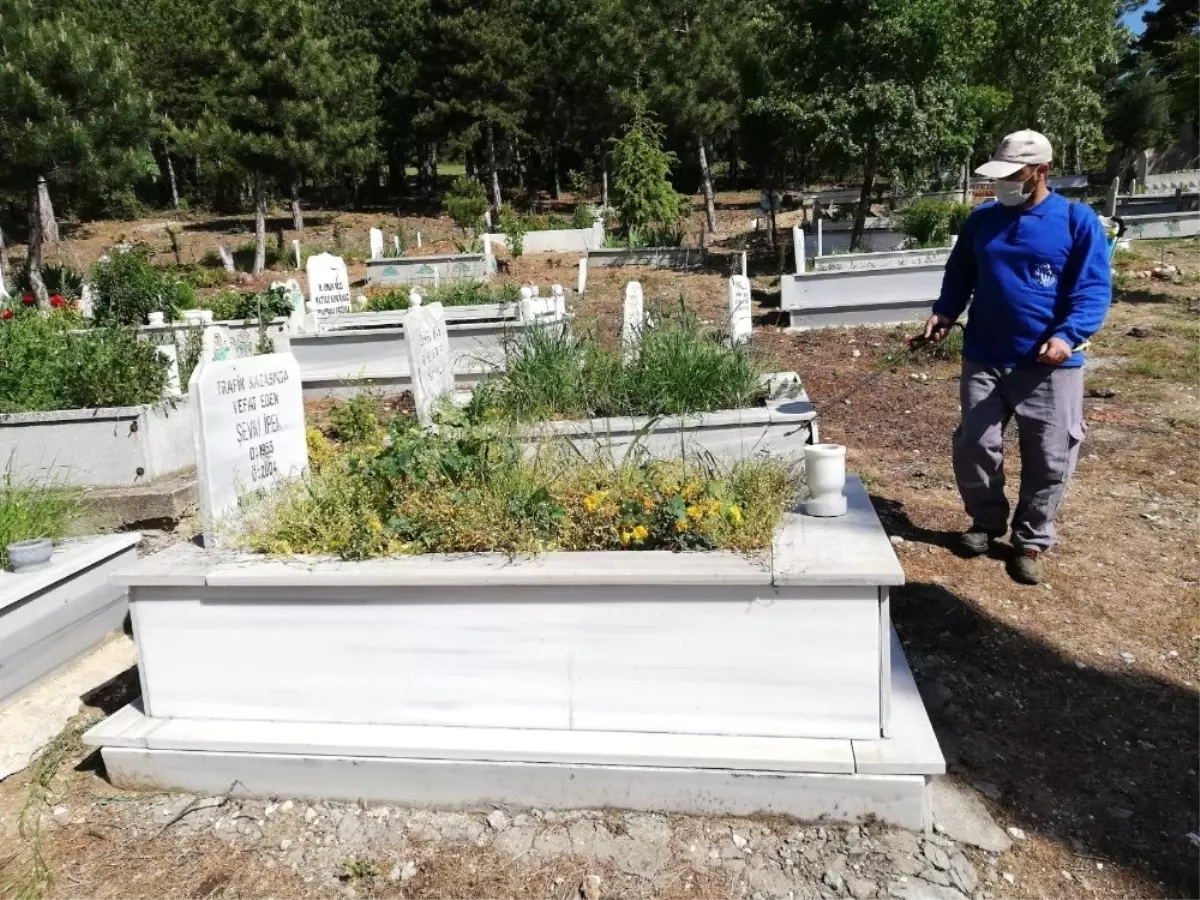 Mezarlıklarda Bayram Temizliği ve İlaçlama Çalışmaları