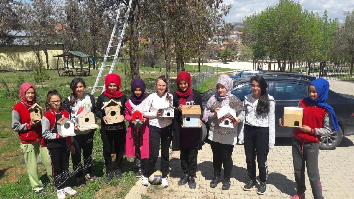 Öğrencilerin Hazırladığı Kuş Yuvaları Ağaçlara Asıldı