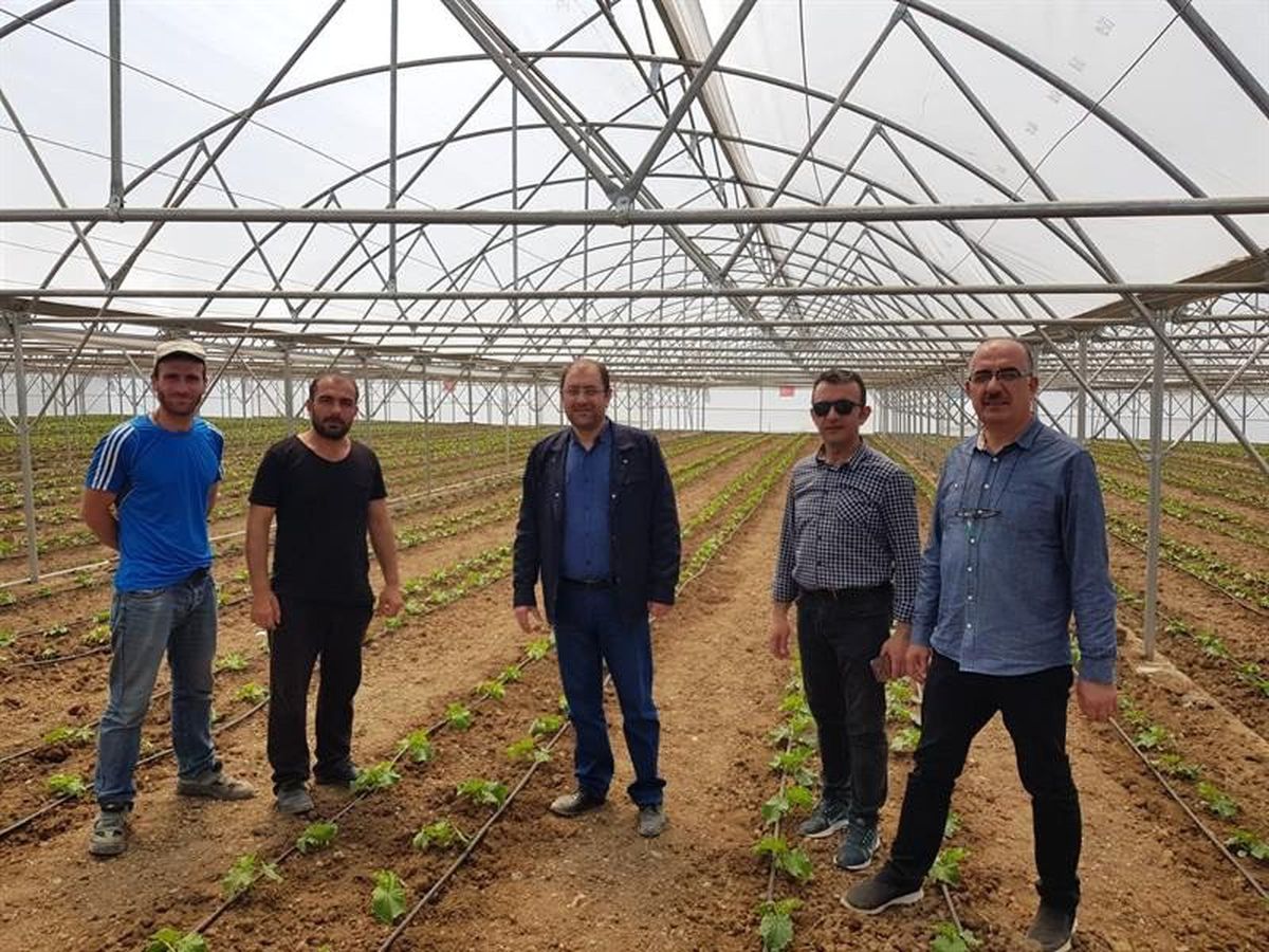 Seracılık Erzincan\'da Büyüyor