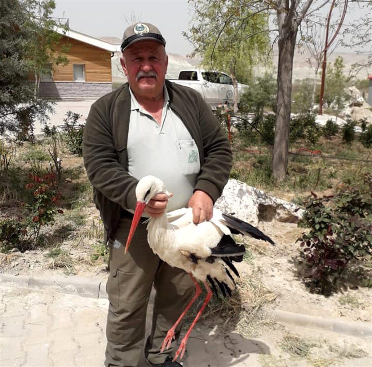 Tedavi Edilen Yaralı Leylek Doğaya Bırakıldı