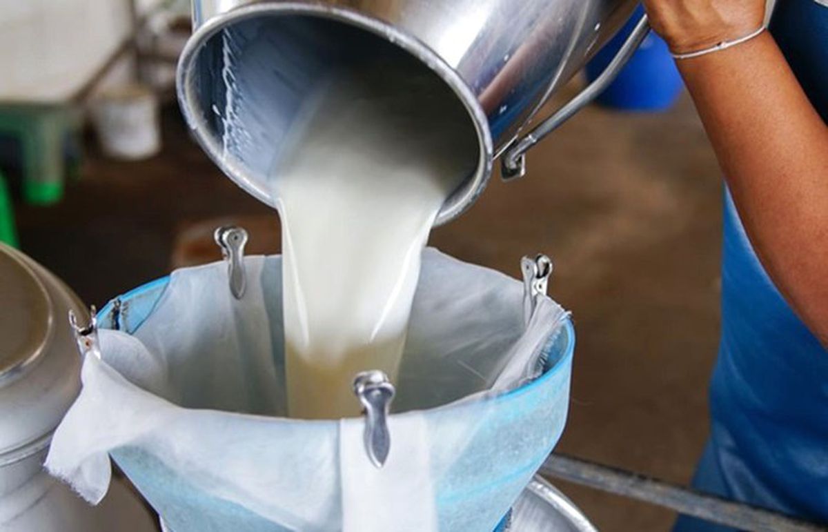 Toplanan inek sütü miktarı martta azaldı