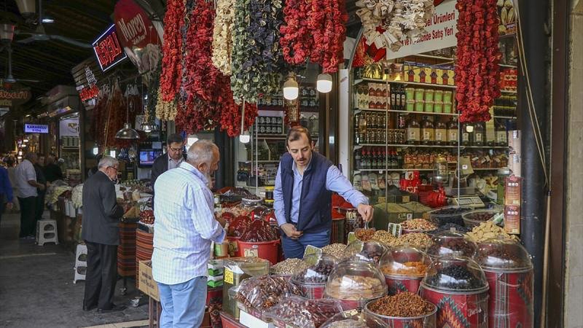 Türkiye\'de Hanehalkının Gıda ve Alkolsüz İçecek Harcama Payı Yüzde 26 Düştü