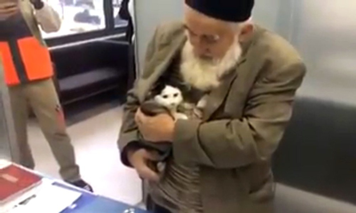 Yaşlı Adamın Sokak Kedisine Yardımı Sosyal Medyayı Salladı