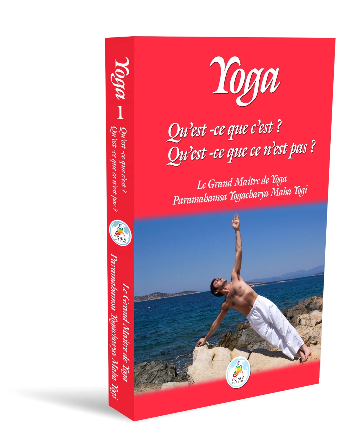 Yoga Kitabı Fransızca Olarak Yayınlandı!