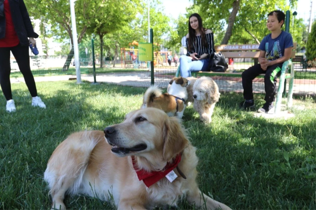 Akhisar\'da Köpeklerin de Artık Bir Parkı Var