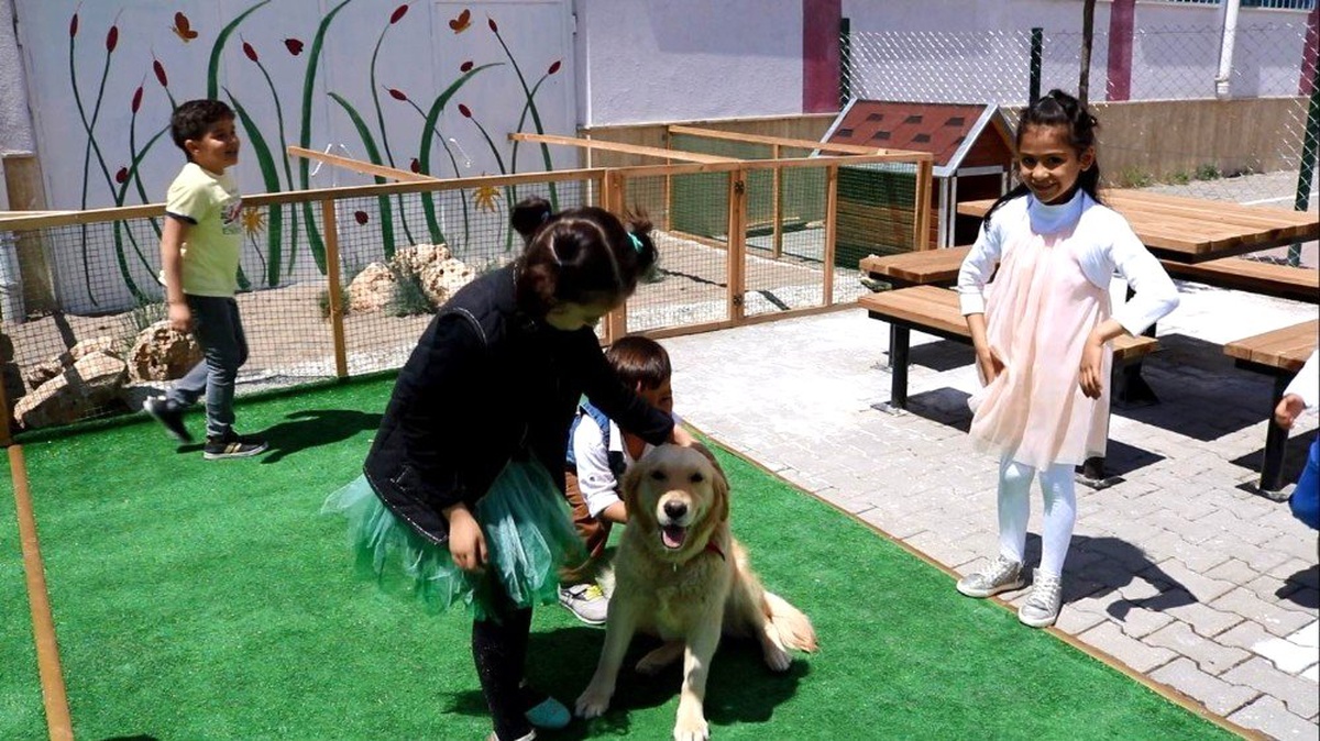 Ana Okulunda Barınaktan Alınan Köpeği Çocuklar Arkadaş Edindi