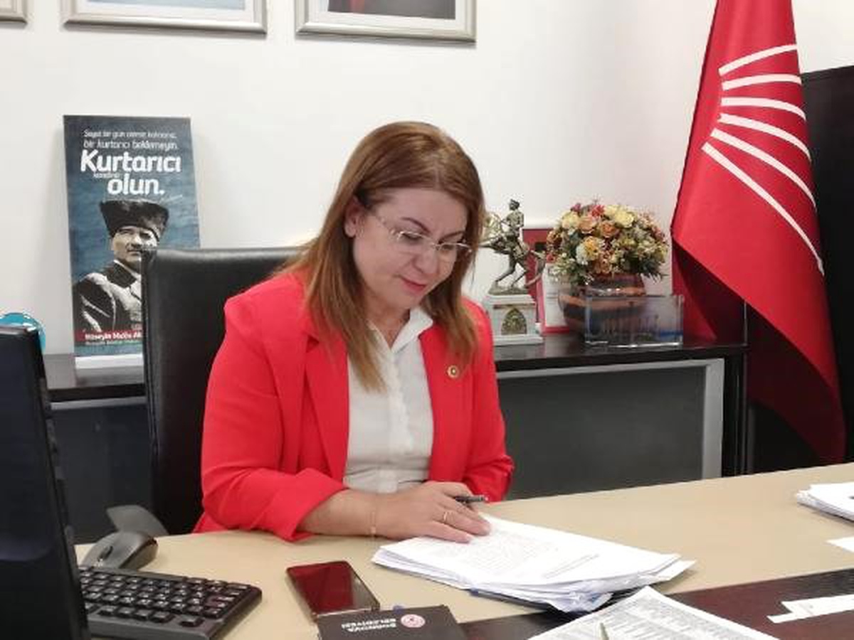 CHP\'li Karaca: İstanbul\'da Hizmet İçin Desteklerini İsteyeceğiz