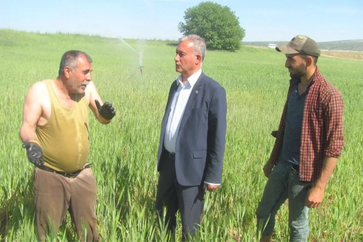 Çiftçiler Günü\'nü Tarlada Çalışarak Kutladılar