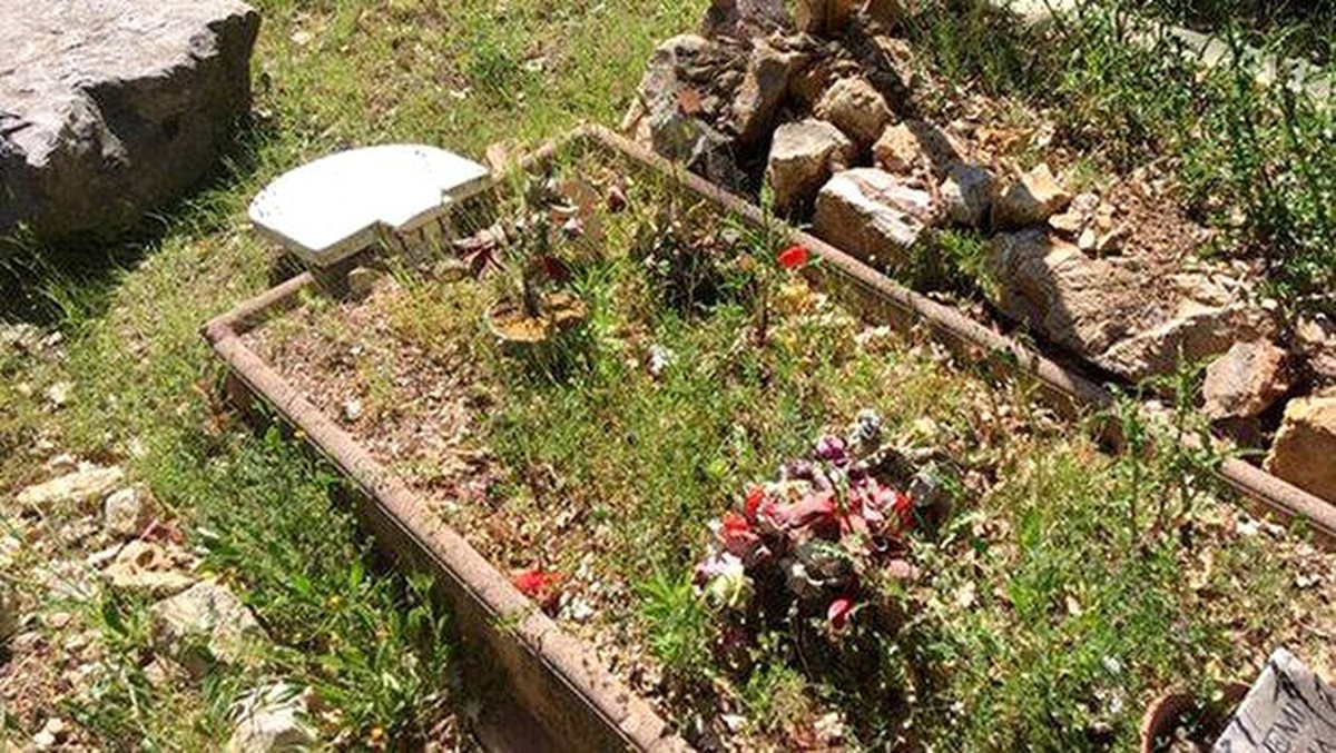 Fransa\'da Müslüman Mezarları Tahrip Edildi