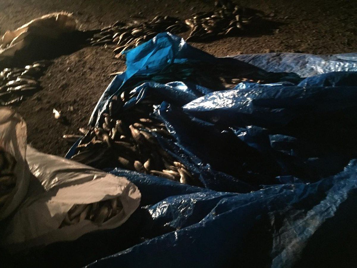 Jandarma Ekipleri Balık Nöbetinde
