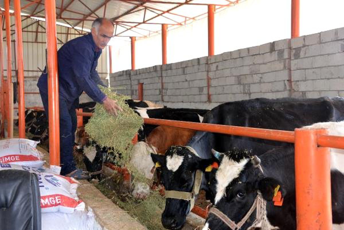 Kahramanmaraş\'ta Orman Köylülerine 34 Milyon Liralık Destek