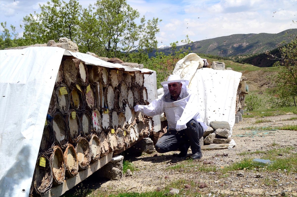 Karakovan Balı Üreticilerinin Yayla Hazırlığı