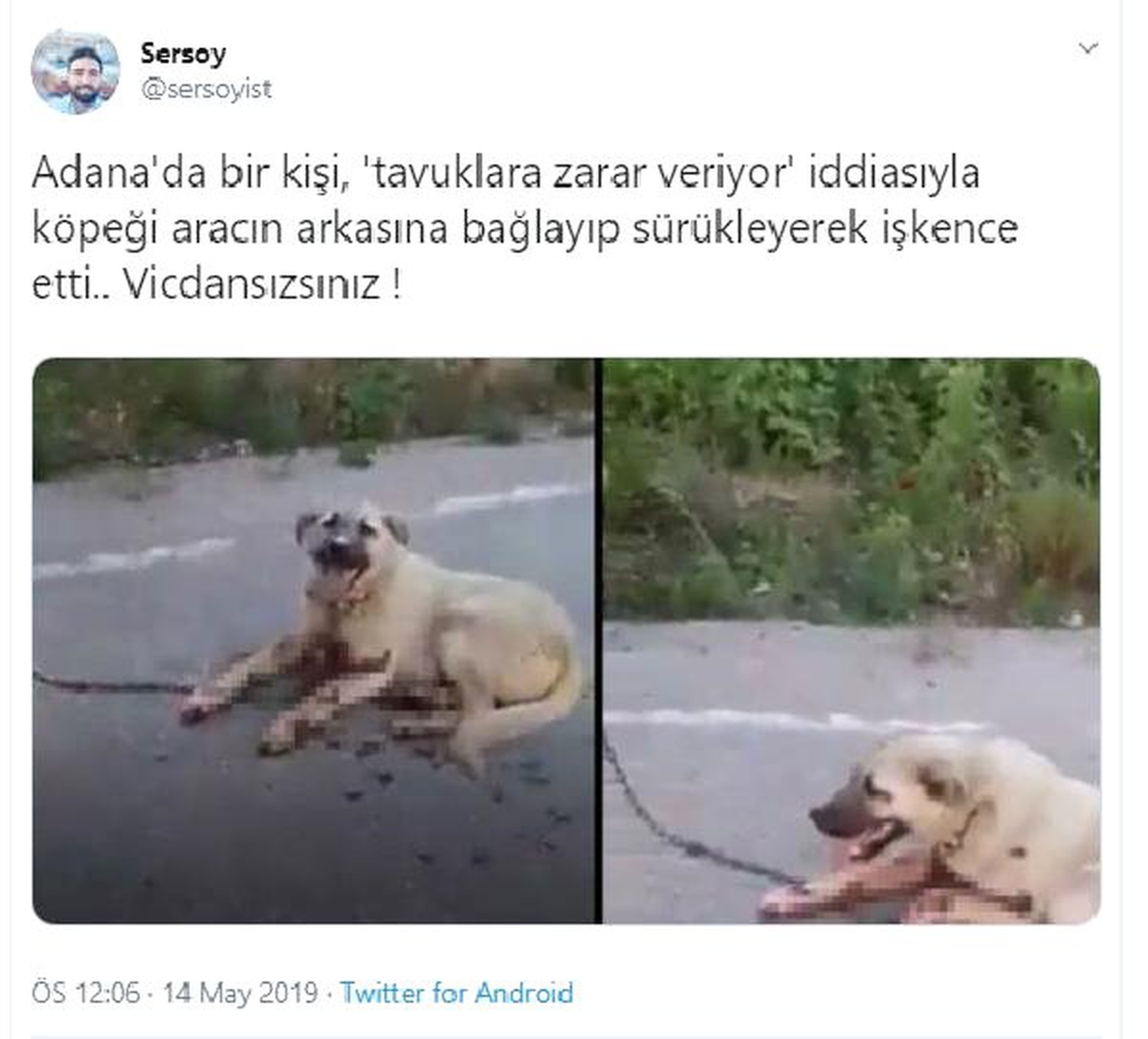 Komşuların Tavuklarına Saldırdı Diye Köpeğini Çekicinin Arkasında Sürükledi (2)