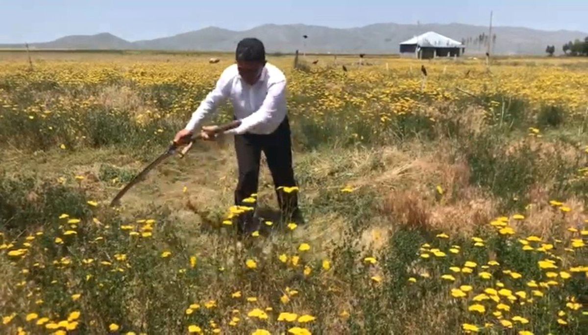 Milletvekili Çelebi\'den, 14 Mayıs Dünya Çiftçiler Günü Mesajı