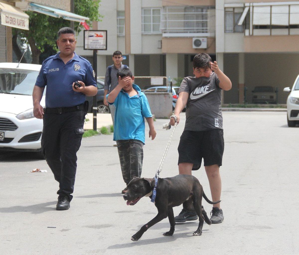 Pitbull\'u Gezdirme Bahanesiyle Gasp Ettiler