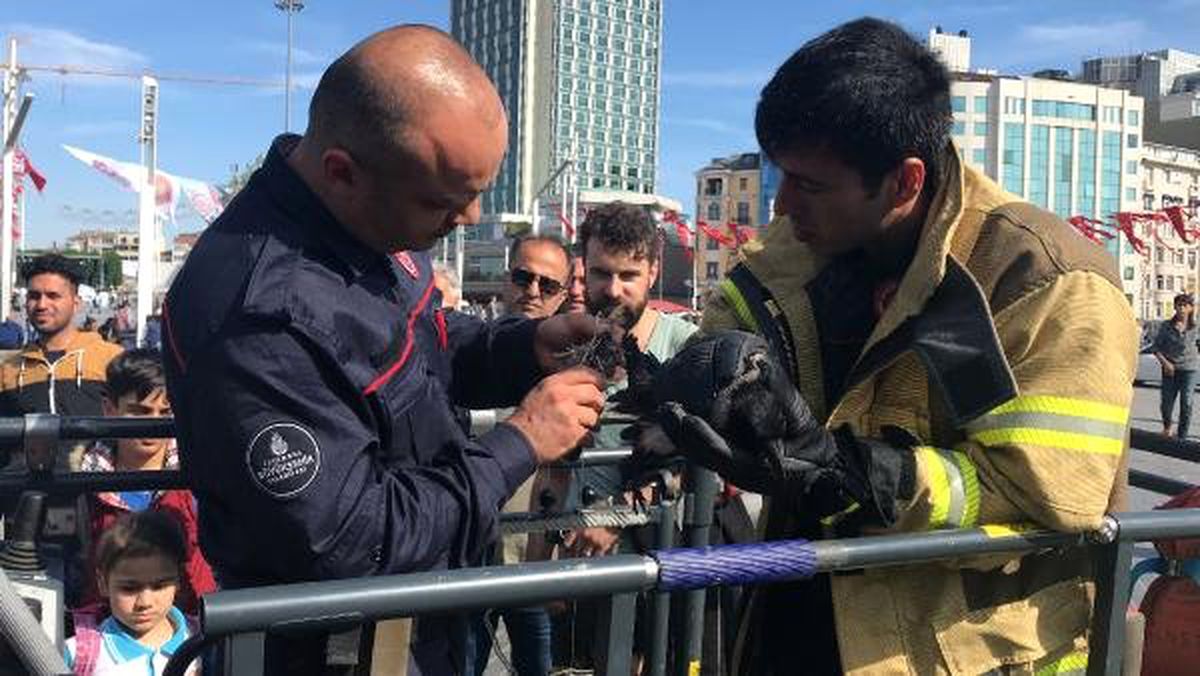 Taksim Meydanı\'nda Karga Kurtarma Operasyonu