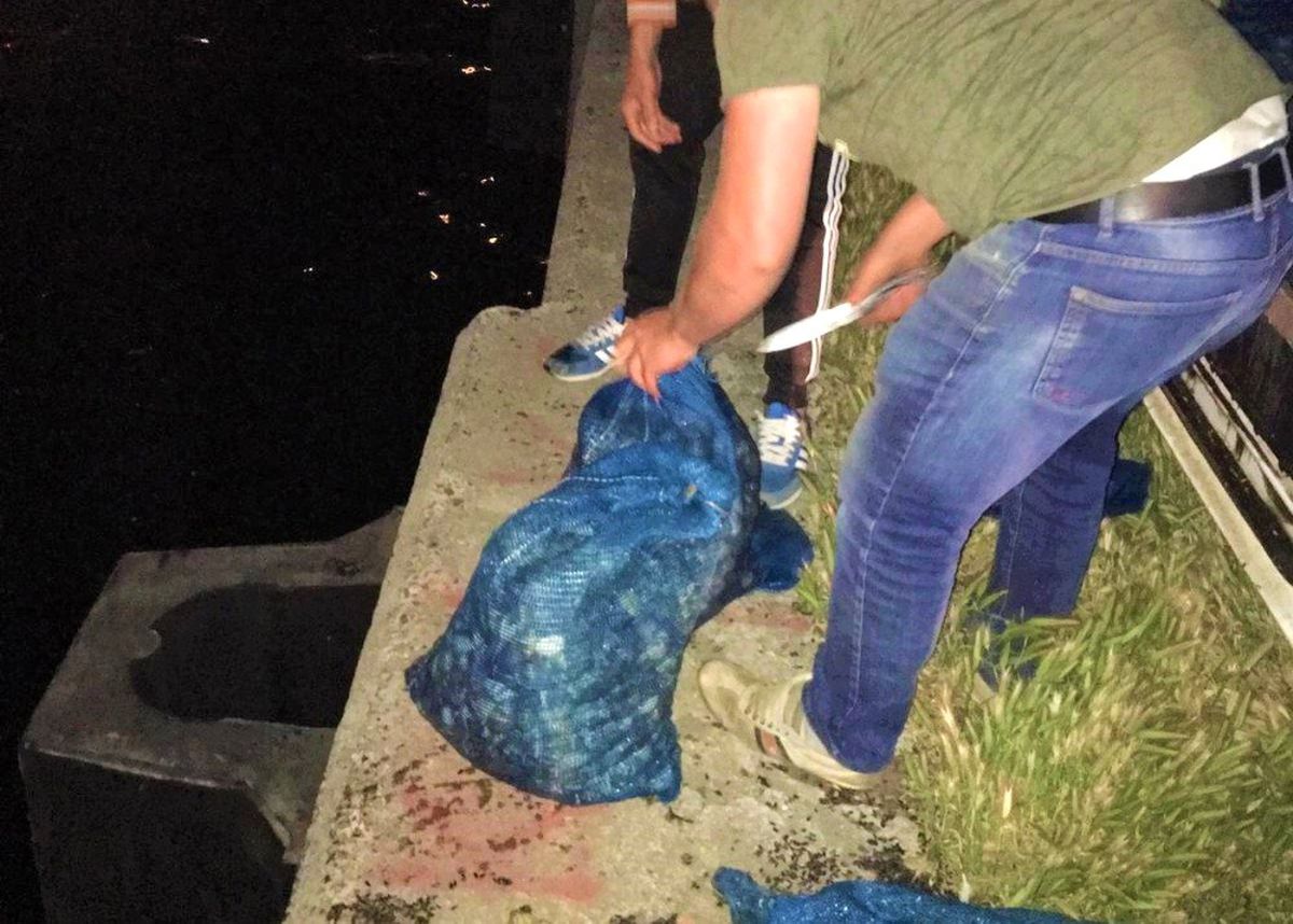 Tekirdağ\'da 72 Bin Liralık Kum Midyesi Ele Geçirildi