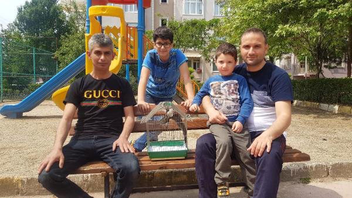 Uçamayan Ebabile Sahip Çıktılar