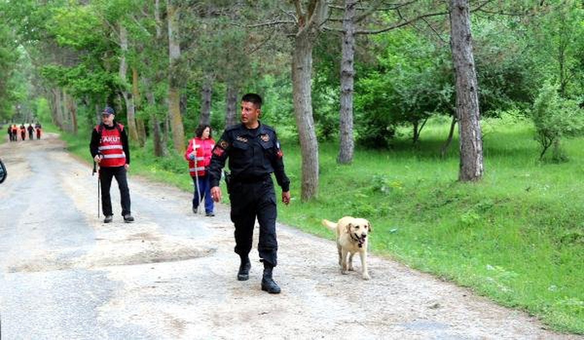 15 Gündür Kayıp Başak, Havadan ve Karadan Aranıyor