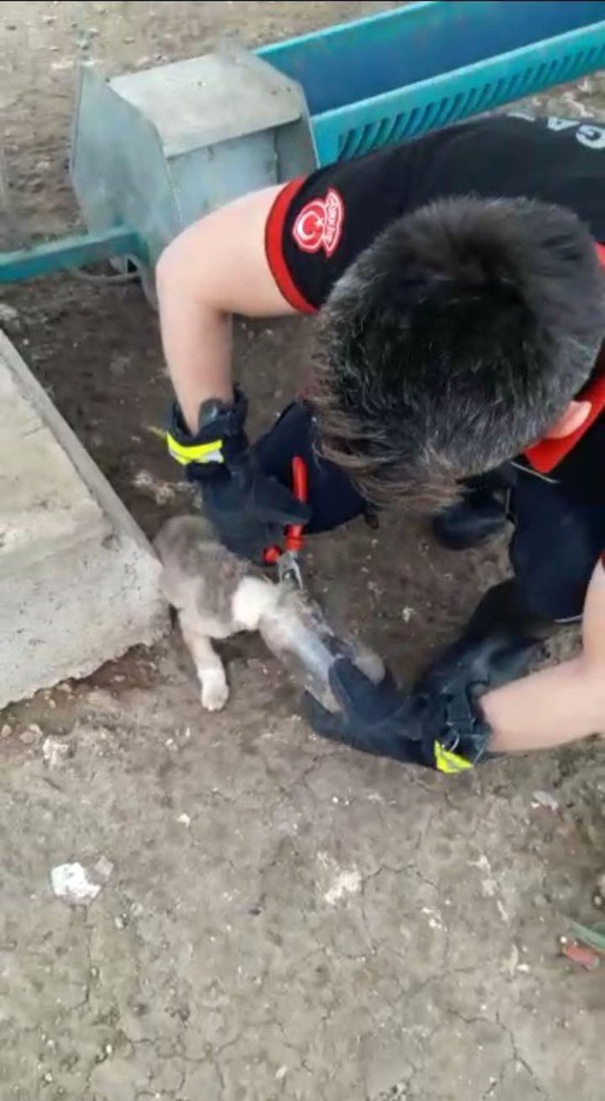 Başı Şişeye Sıkışan Köpeği İtfaiye Kurtardı