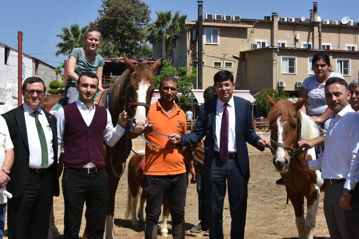 Başkan Özcan Hipoterapi Eğitimini İnceledi