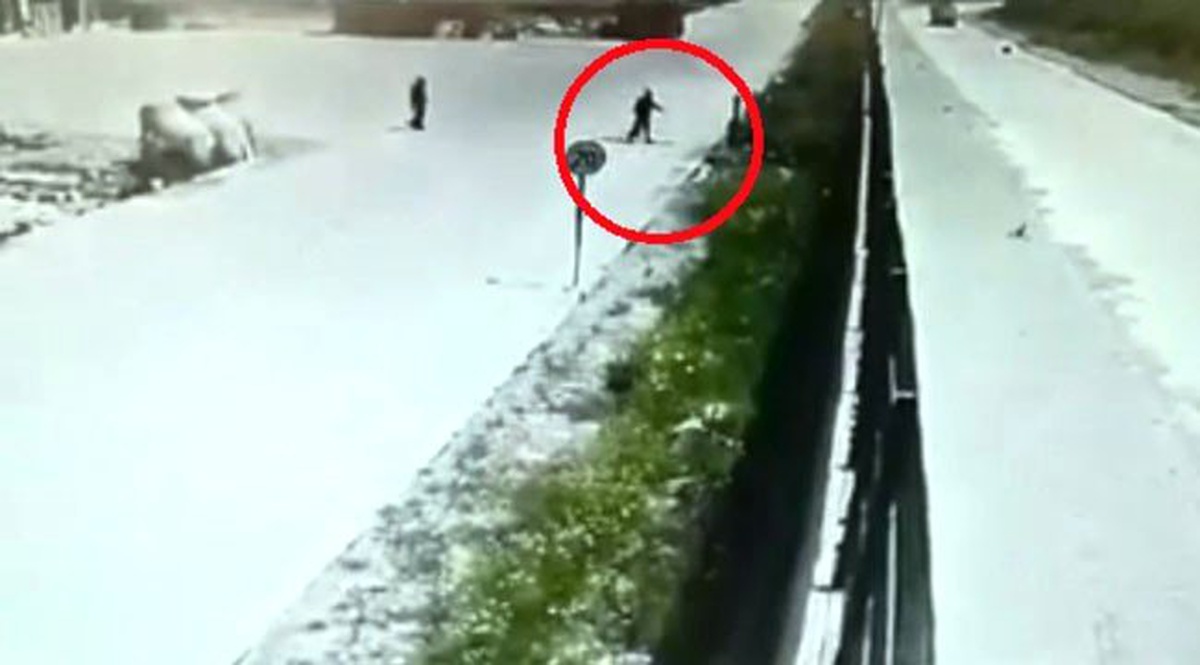 İşçilerin Beslediği Köpeği Çitlerin Üstünden Kaldırıma Fırlattı