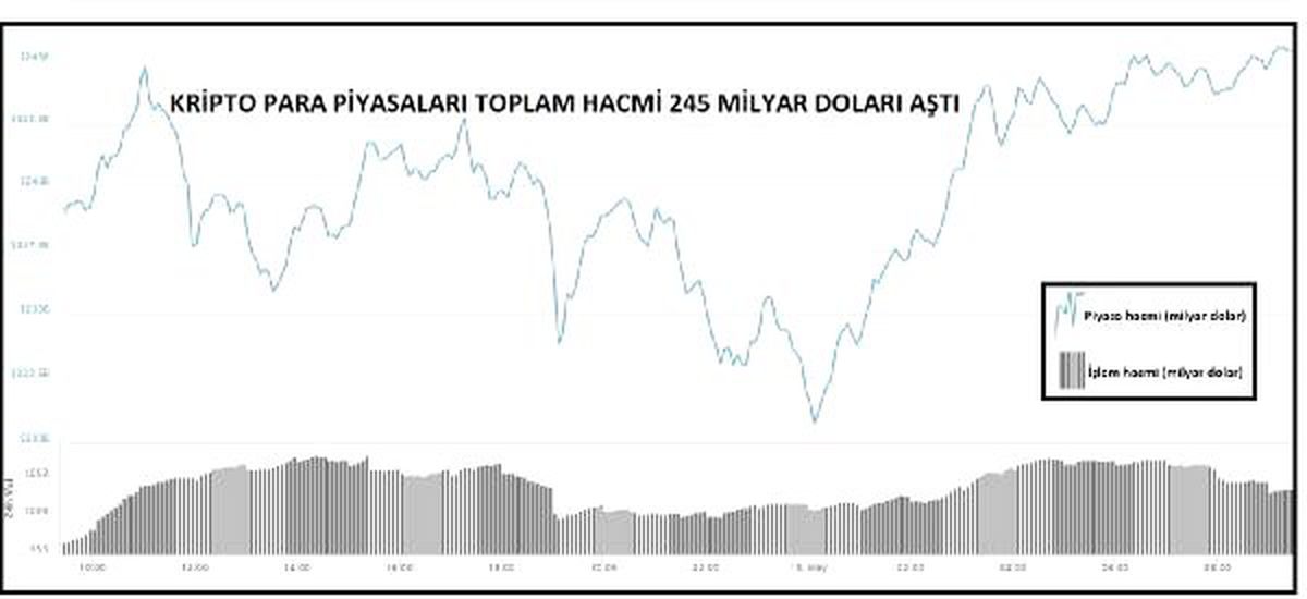 Kriptopara – Piyasa Hacmi 245 Milyar Dolara Yükseldi
