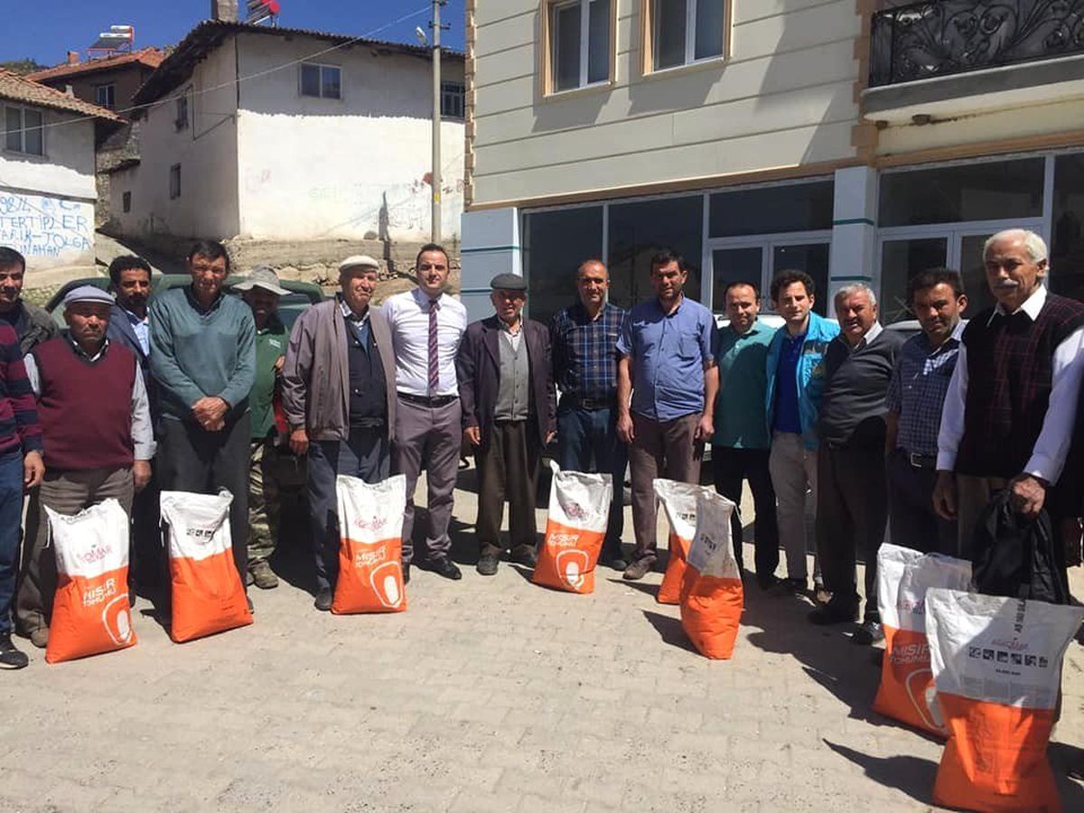 Silajlık Mısır Üretimi Çiftçinin Yüzünü Güldürüyor