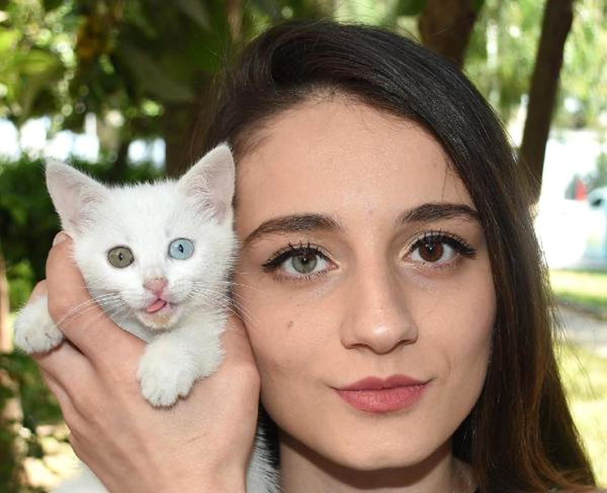 Simay\'ın da Kedisi Dombi\'nin de Bir Göz, Diğerinden Farklı