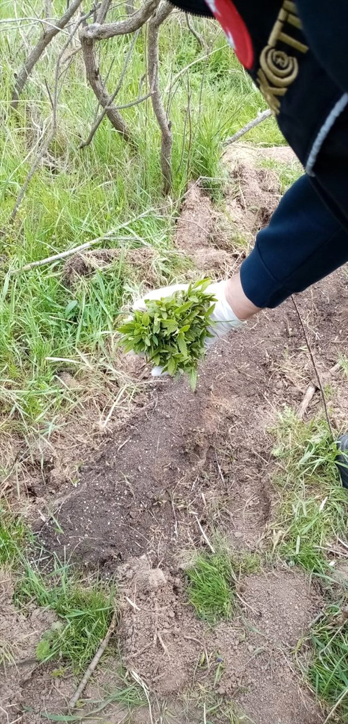 Sivas\'ta Uyuşturucu Operasyonlarında 11 Kişi Tutuklandı