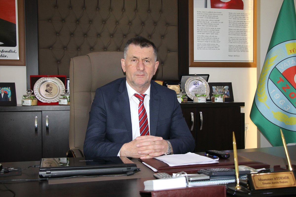 Üreticilere "Fındık Yeşil Kokarcası" Zararlısı Uyarısı