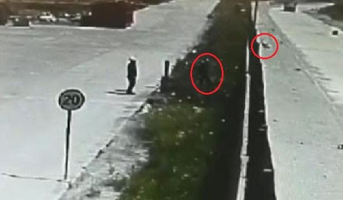 Yavru Köpeği Çitlerin Üzerinden Fırlatıp Attı